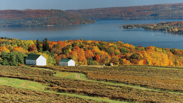 A View of the Fingerlakes in Autumn A View of the Fingerlakes in Autumn