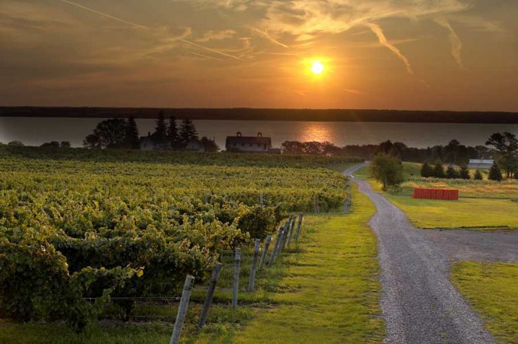 Sun over the Finger Lakes A photo of a beautiful sunrise over the Finger Lakes